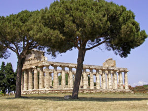 Paestum